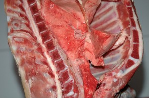 carne ovino