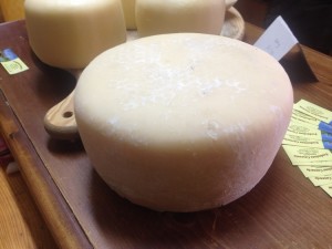 Formaggio morbido del matese
