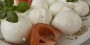 mozzarella di bufala