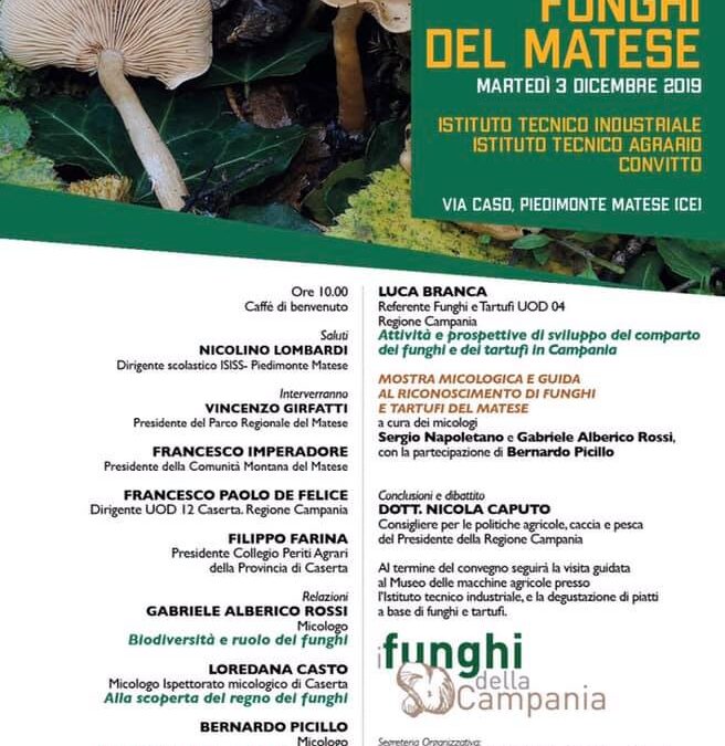 Workshop Funghi del Matese