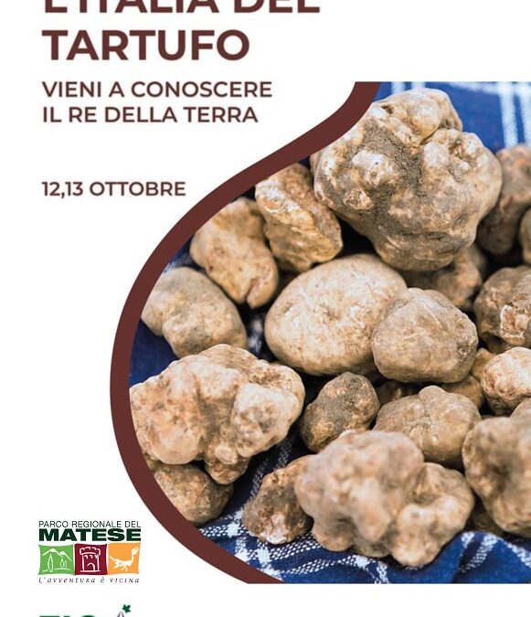 L’Italia del tartufo