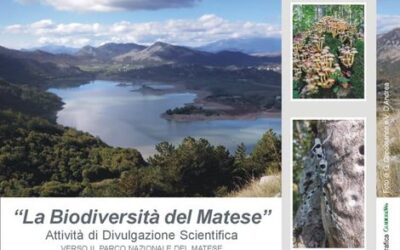 La Biodiversità del Matese